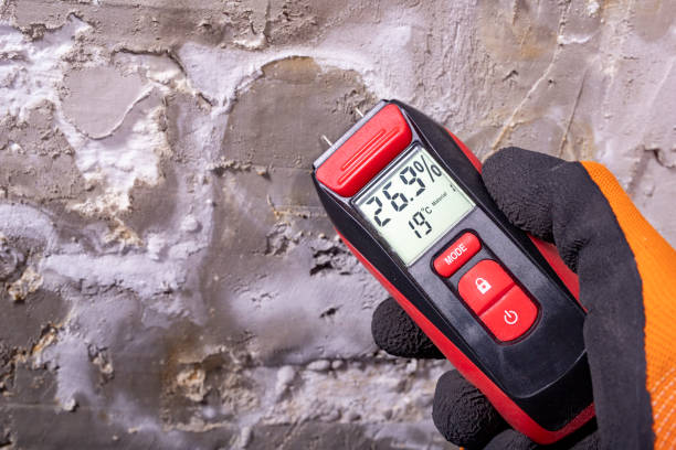 Best Mold Cleaning Services  in Fairwood, MD