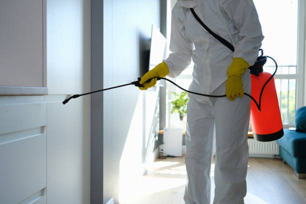 Best Mold Testing and Removal  in Fairwood, MD