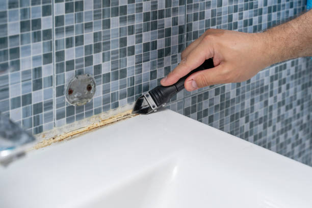 Best Mold Testing  in Fairwood, MD