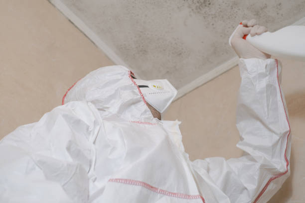 Best Mold Remediation Services  in Fairwood, MD