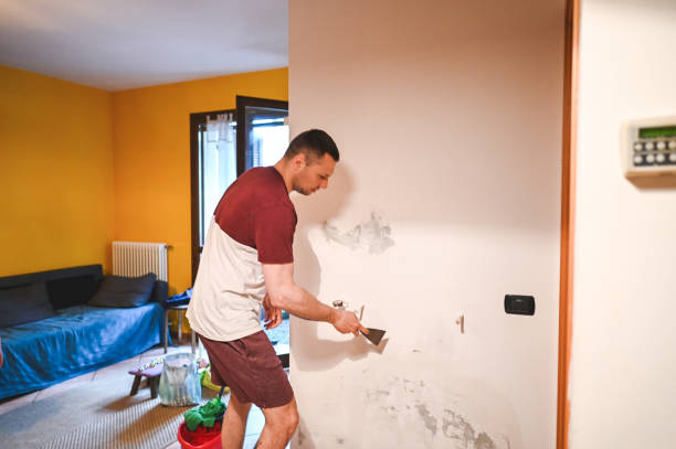 Best Black Mold Removal  in Fairwood, MD