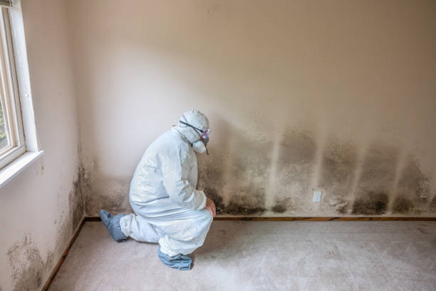 Best Mold Testing  in Fairwood, MD